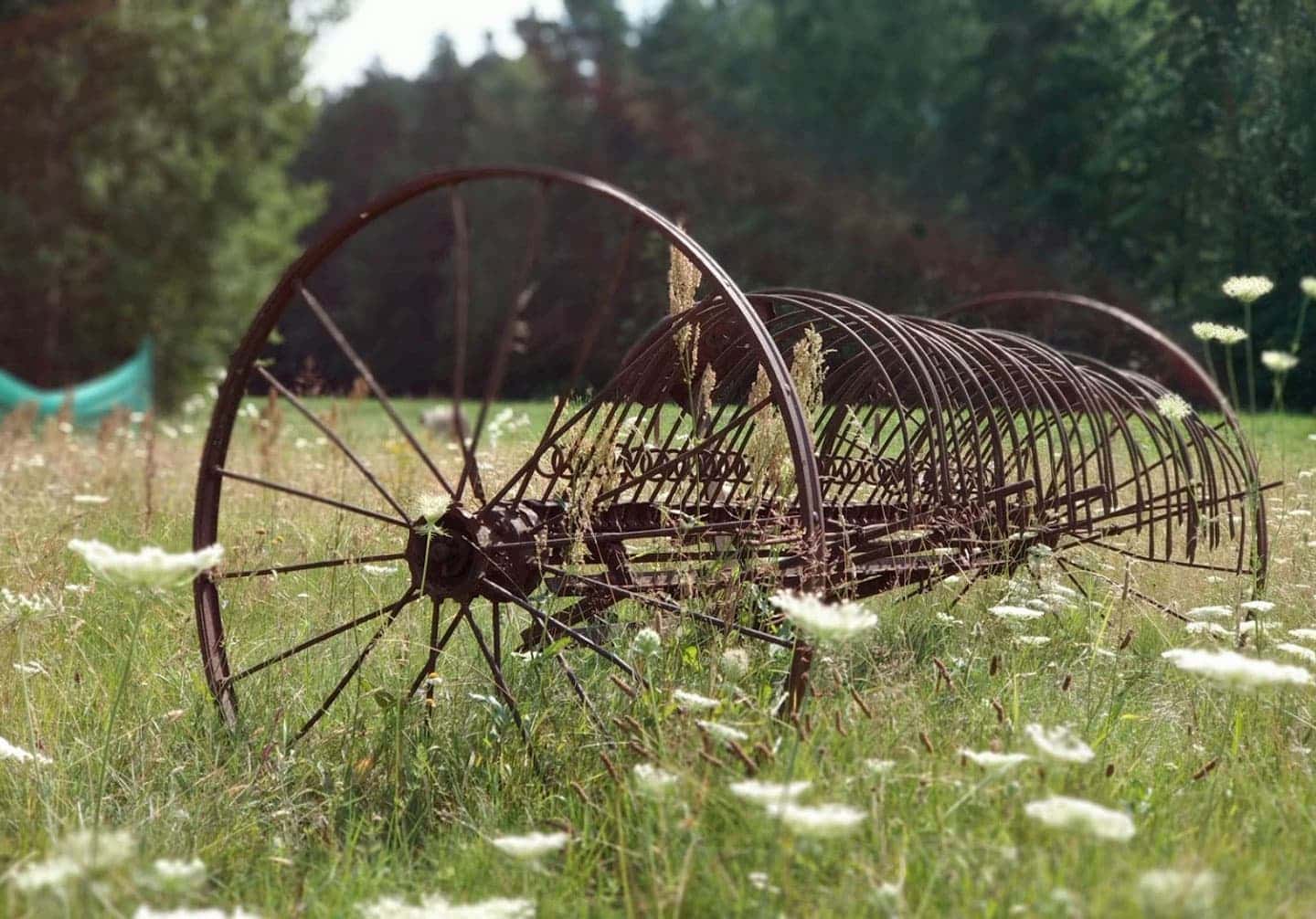 Луг в Gravas со старым колесом